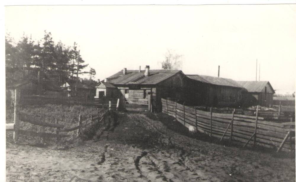 Фото. Баня на ул. Рабочая, п. Лопатино. 1947г.