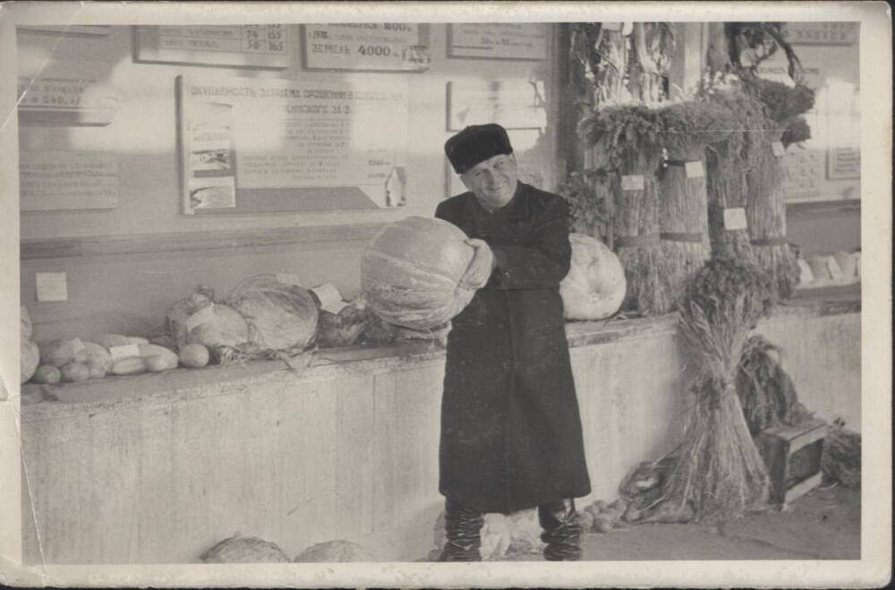 Фото, 1970 г. выставка с/х, Карасук, рынок