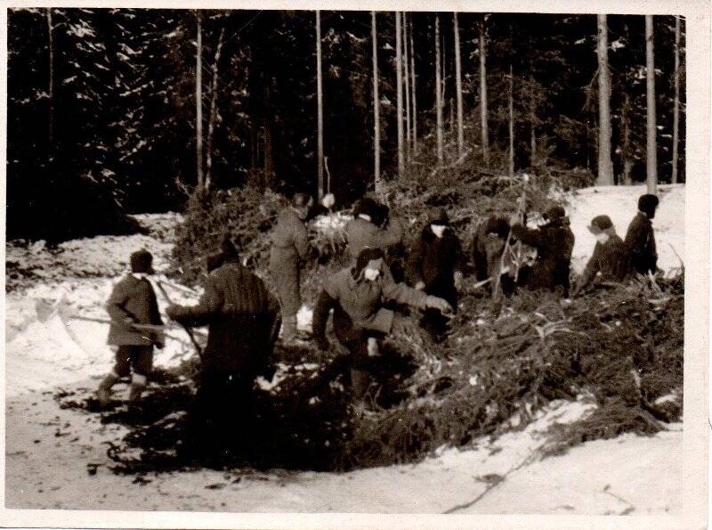 Фотография в походе