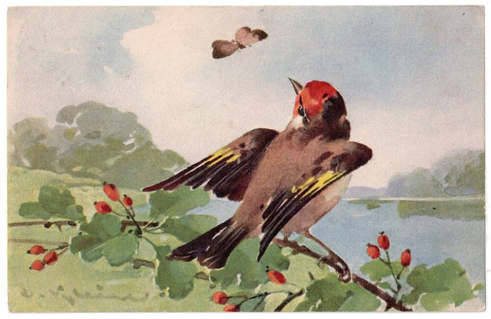 Почтовая открытка Птица на шиповнике.