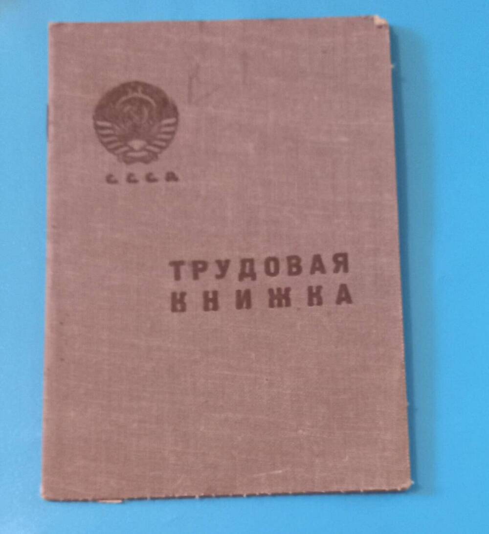 Трудовая  книжка Шадринцевой Анны  Епифановны 1907 г.р