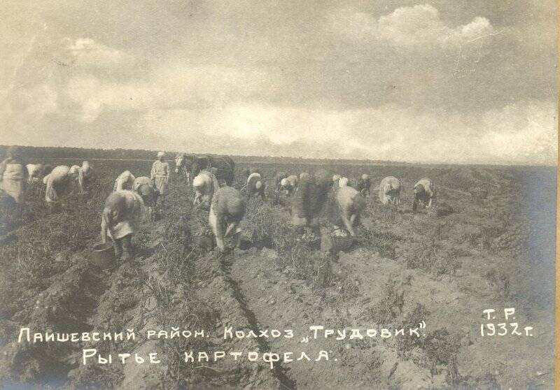 Фотография. Лаишевский район. Колхоз Трудовик, Рытье картофеля.