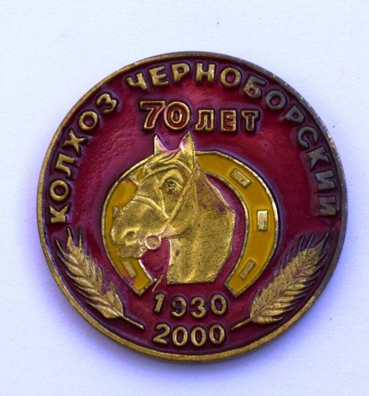 Юбилейная медаль «70 лет колхозу «Черноборский».