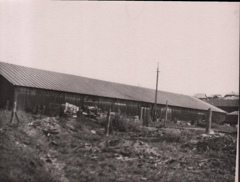 Фотография. Фотография Нецветаева А.В. артель «Работник».