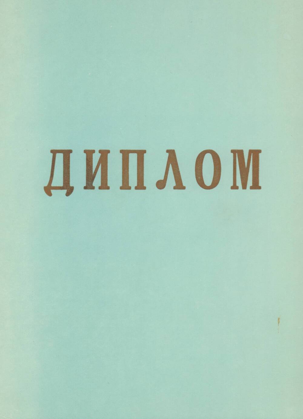 Диплом Золотые руки - 78