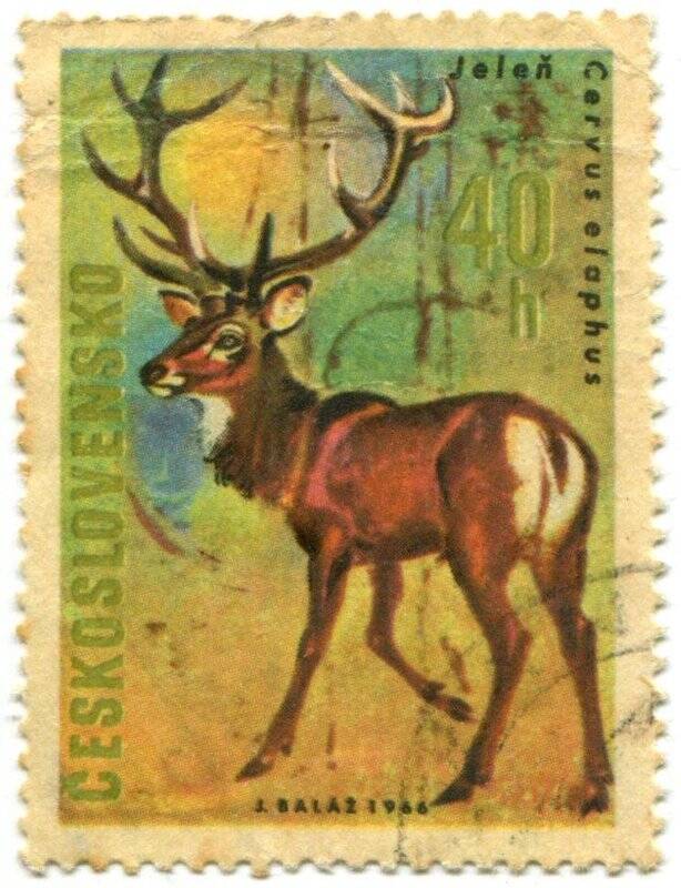 Марка почтовая. Cervus elaphus. CESKOSLOVENSKO.