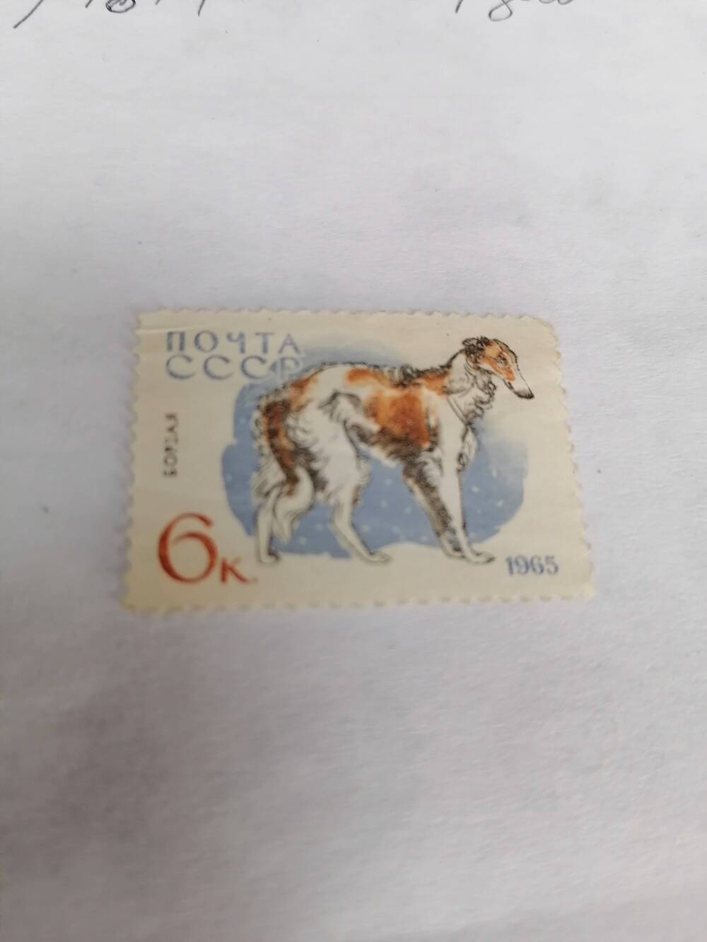 Марка почтовая негашеная, Почта СССР,1965 г, Охотничьи породы собак,Борзая