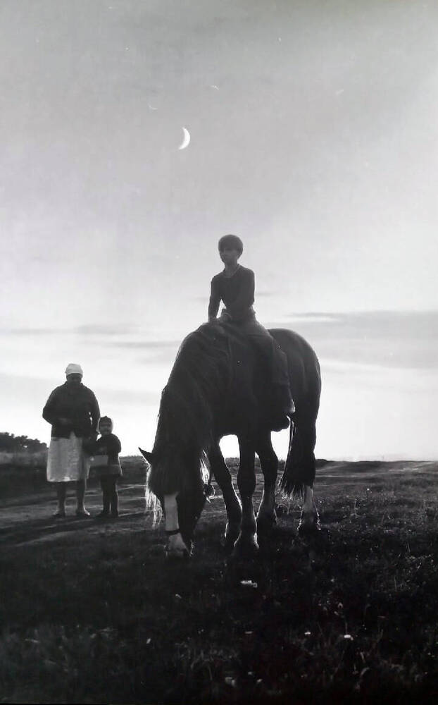 Фотография. На снимке мальчик сидит на лошади.