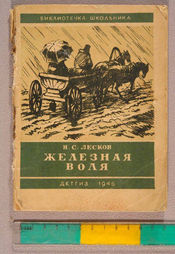 Лесков железная воля. Железная Воля книга.