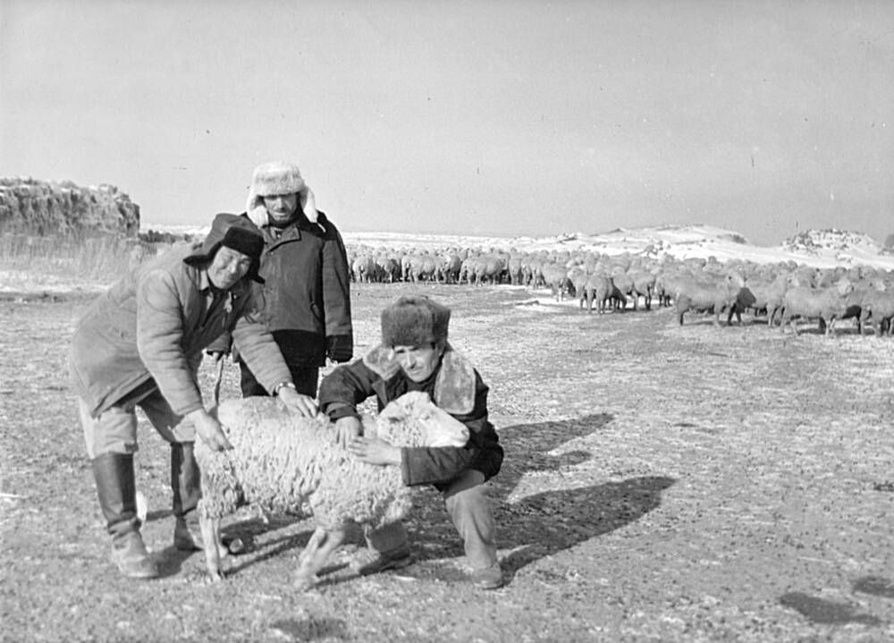 Фотография черно-белая коллектива чабанской бригады Абдулаева А., совхоз «Каратюбинский».