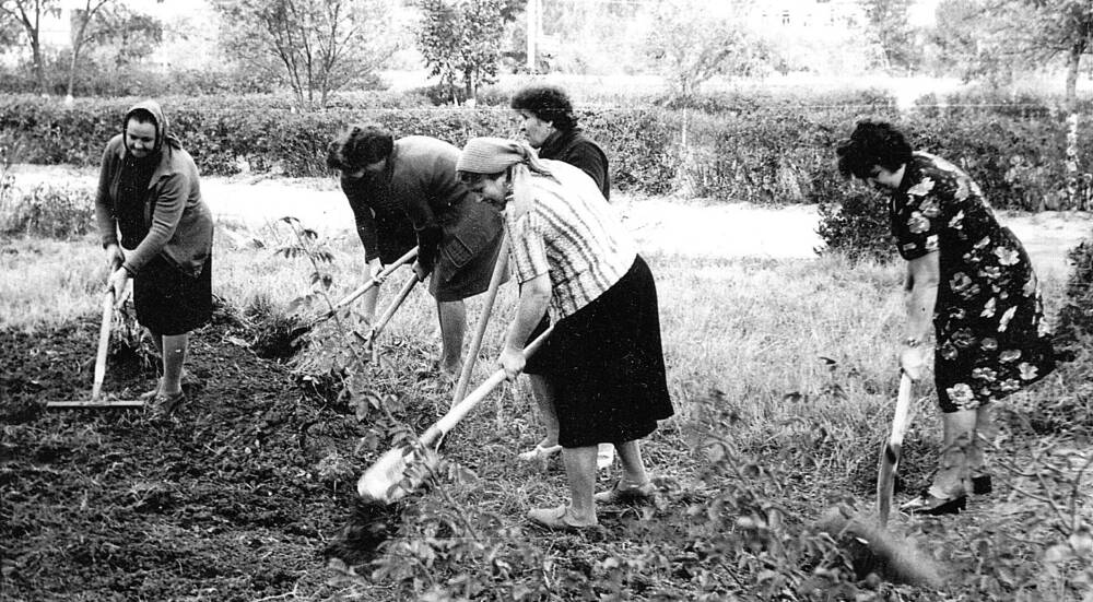 Фотография чёрно-белая коллектива УБР на коммунистическом субботнике, г. Нефтекумск.