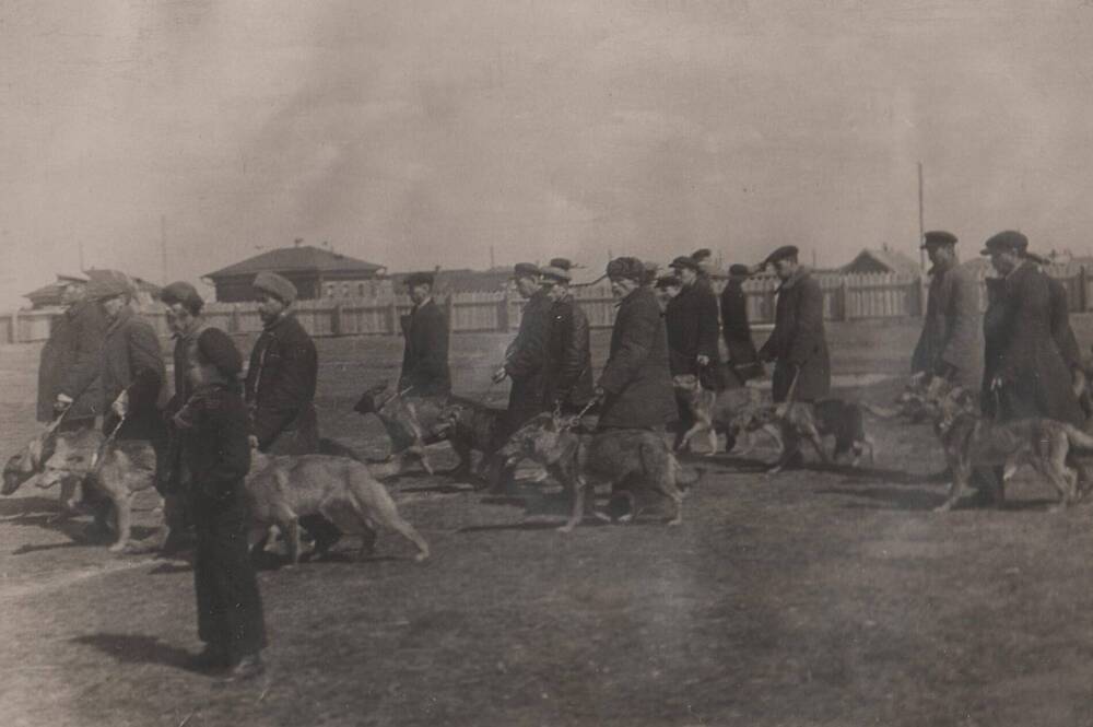 ФОТОГРАФИЯ. Выставка собак на старом стадионе у Крутой горы, 1930г.