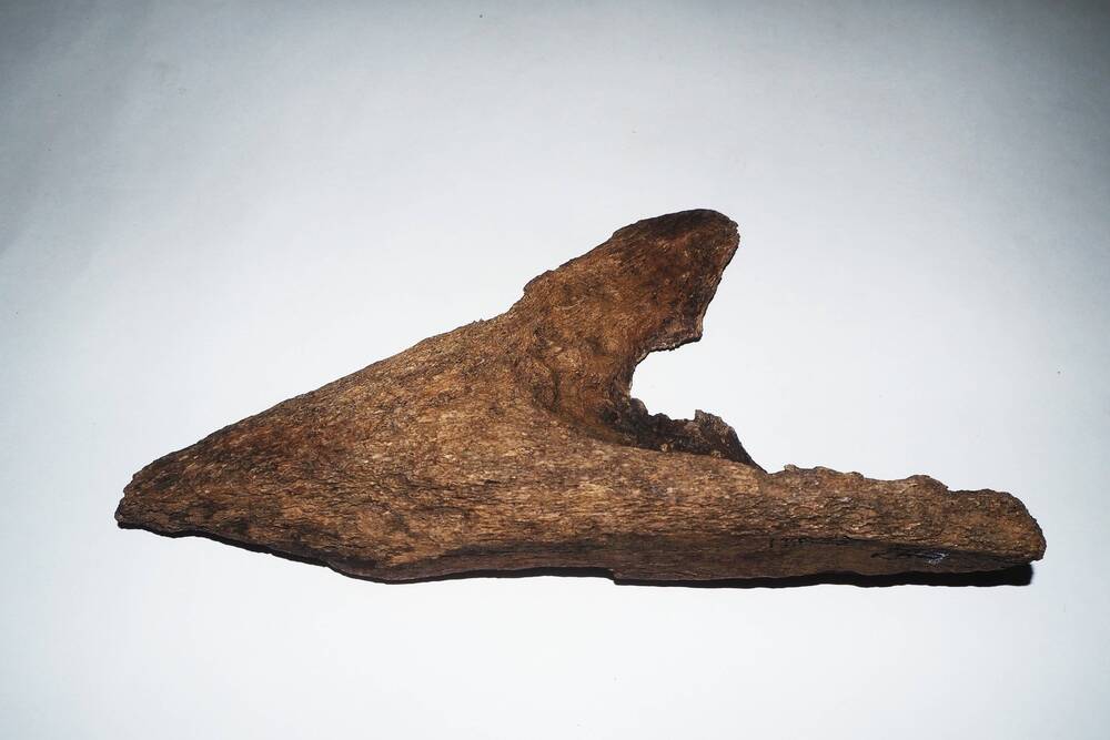 Фрагмент кости мамонта с обработкой