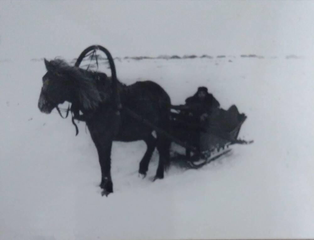 Фотография ч\б. с. Сладково. 1960 г.