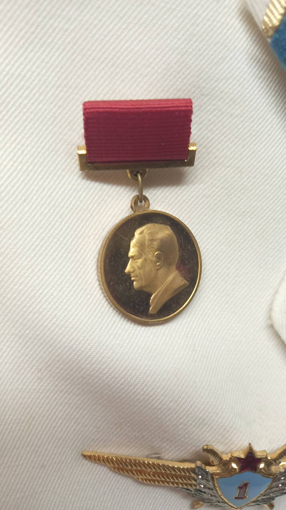 Медаль Н. А. Пилюгина