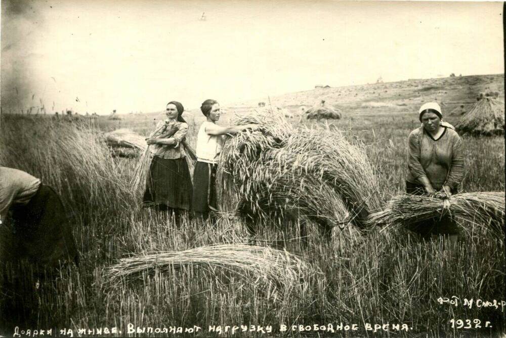 Фотография. Доярки на жниве выполняют нагрузку в свободное время.