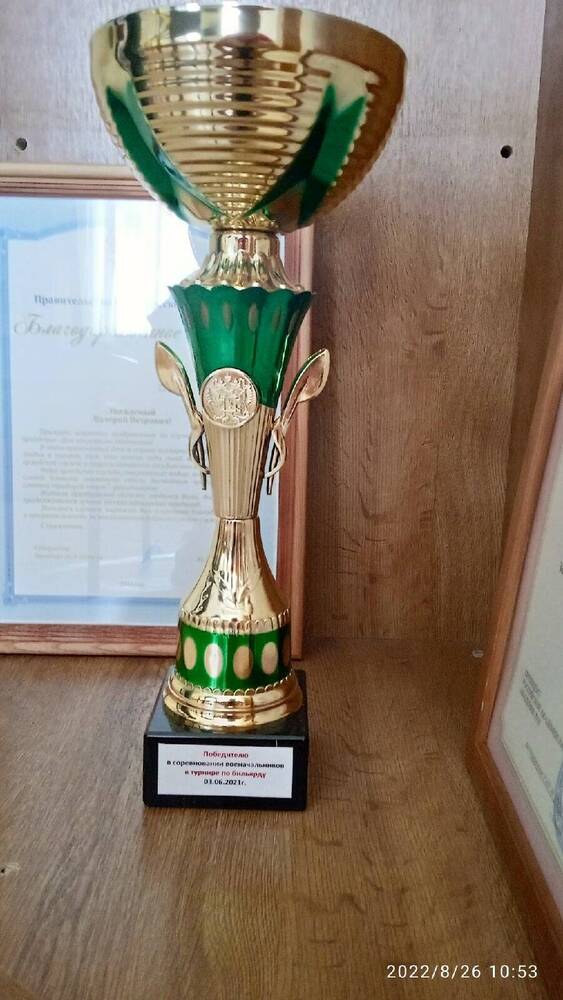 Кубок победителя Баранова В. П. в соревнованиях военачальников в турнире по бильярду
