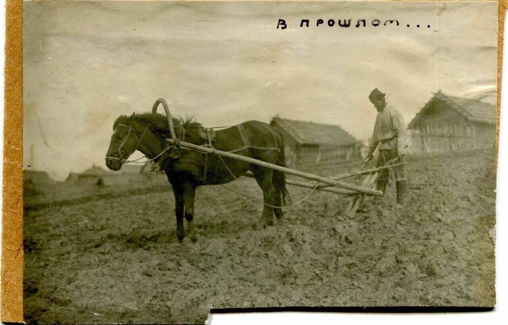 Фотография. Композиция «Сельское хозяйство в прошлом и настоящем».