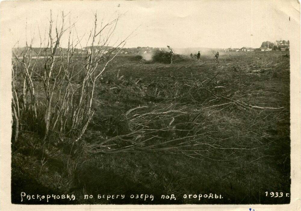 Фотография. Раскорчевка по берегу озера под огороды.