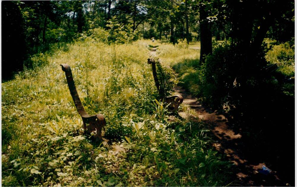 Фотография «Городской парк. Парковые скульптуры»