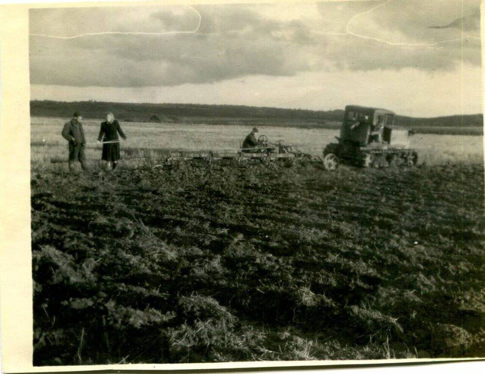 Фотография. Колхоз «13 Октябрь». Вспашка под зябь.
