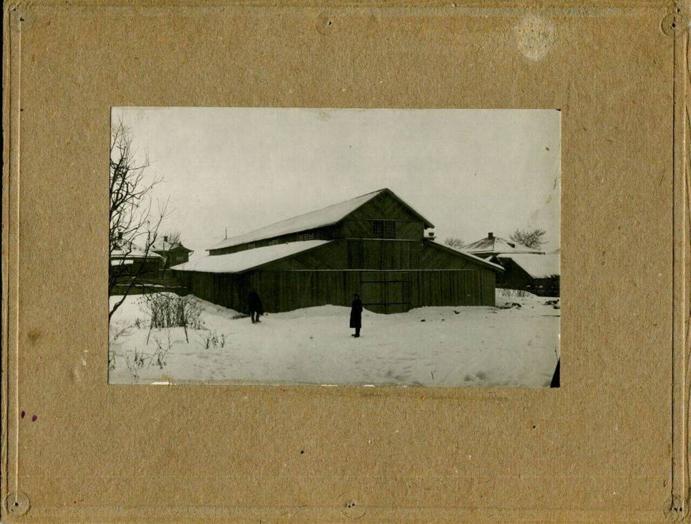 Фотография. Колхоз им. Ворошилова. Общий вид. 
