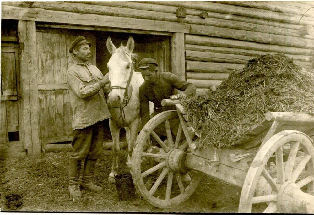 Фотография. Колхоз им. Ворошилова, Балакирев А.И.
