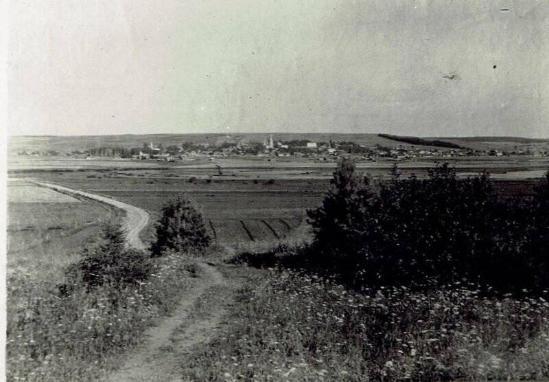 Фотография. Вид на село Ильинское  до затопления