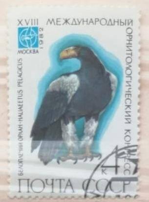 Марка «Haliaeetus pelagicus-Белоплечий орлан». Погашена