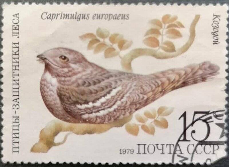 Марка «Caprimulgus europaeus - Козодой». Погашена
