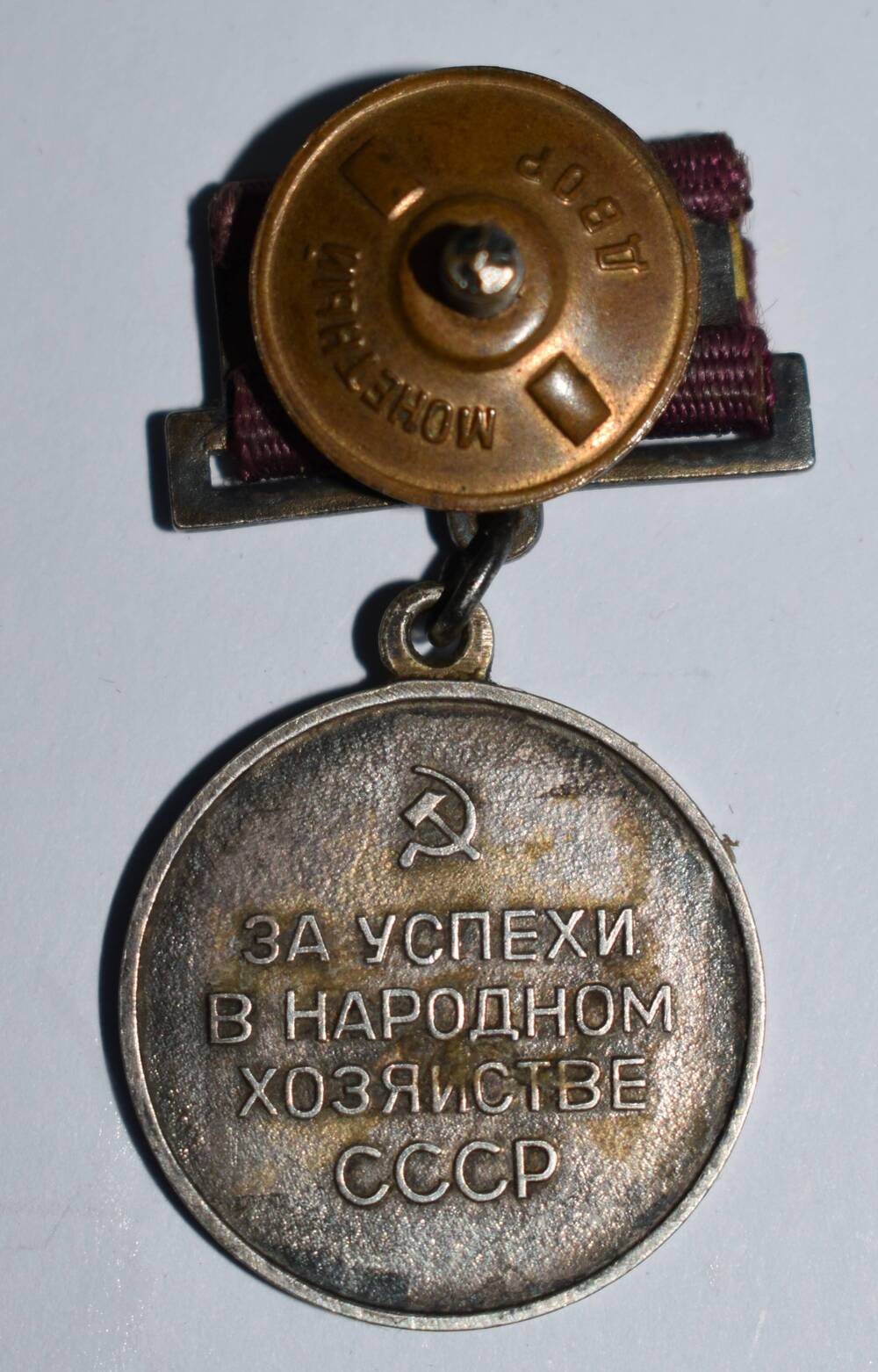 Медаль За успехи в народном хозяйстве.