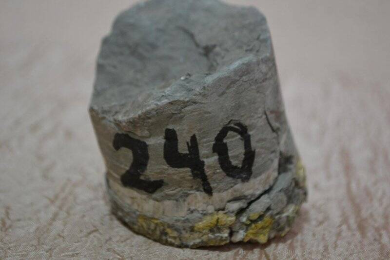 Полезное ископаемое, Алевролит -314 м.