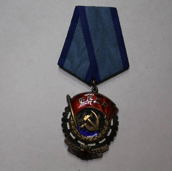 Орден Трудового Красног8о Знамени №403981 Елкина Г.С.                             20 ноября 1958г