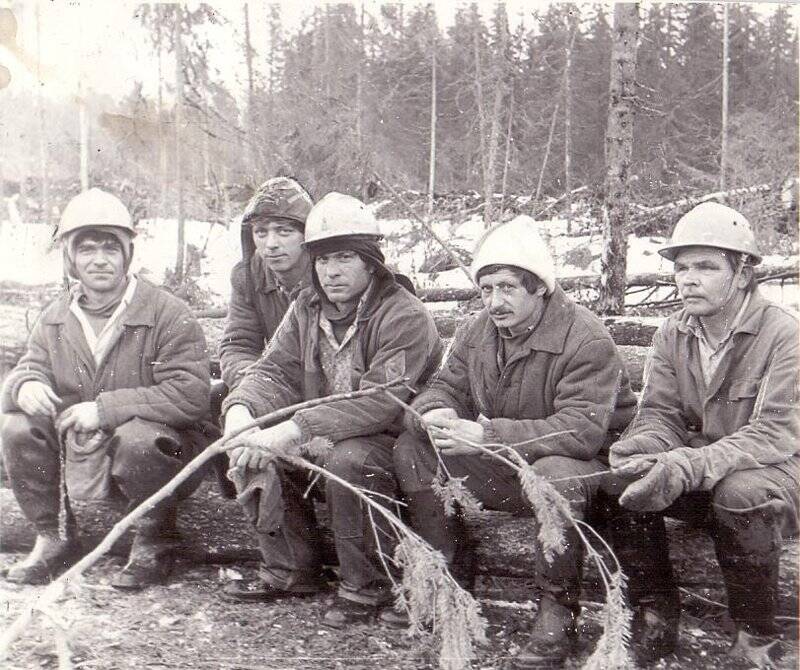 Фотография. Заготовка древесины в Сулонге