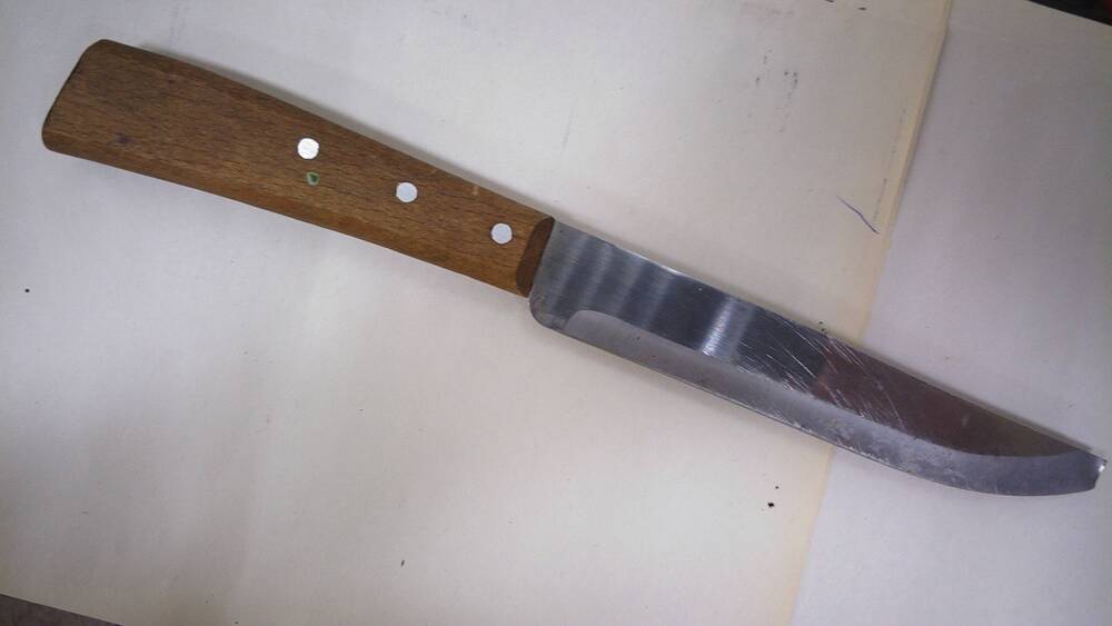 Нож кухонный с деревянной ручкой, на которой три клепки из белого металла