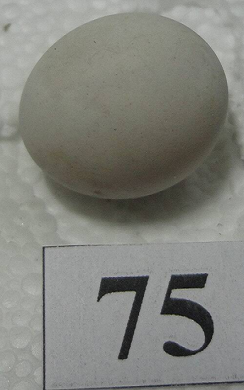 Яйцо №75 из коллекции яиц птиц, гнездящихся в щигровском крае.
