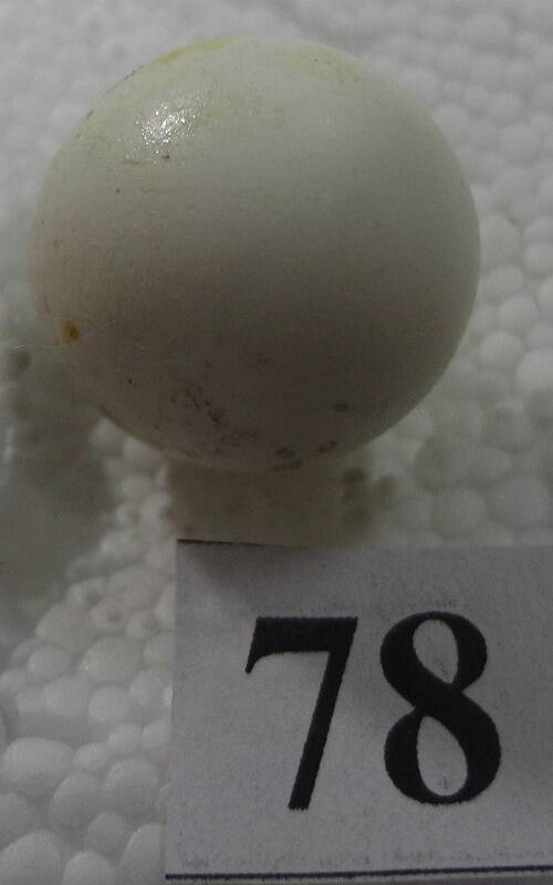 Яйцо №78 из коллекции яиц птиц, гнездящихся в щигровском крае.