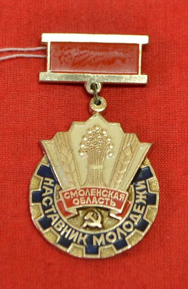 Знак Наставник молодежи Гавеева Владимира Мироновича.