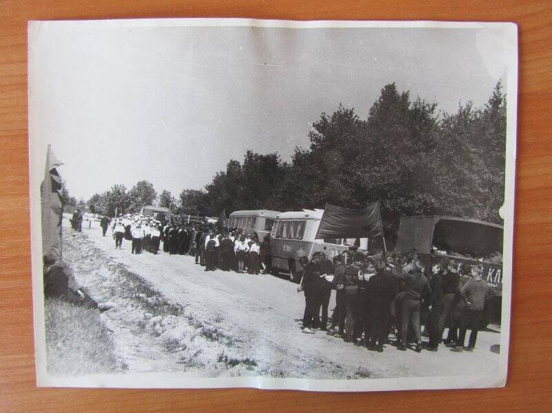 Фотография. Школьники возле автобусов.