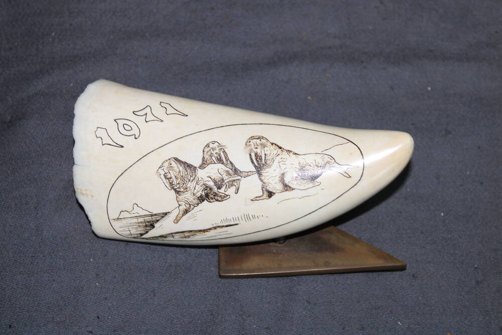 Сувенир из моржового клыка «Антарктика 1971».