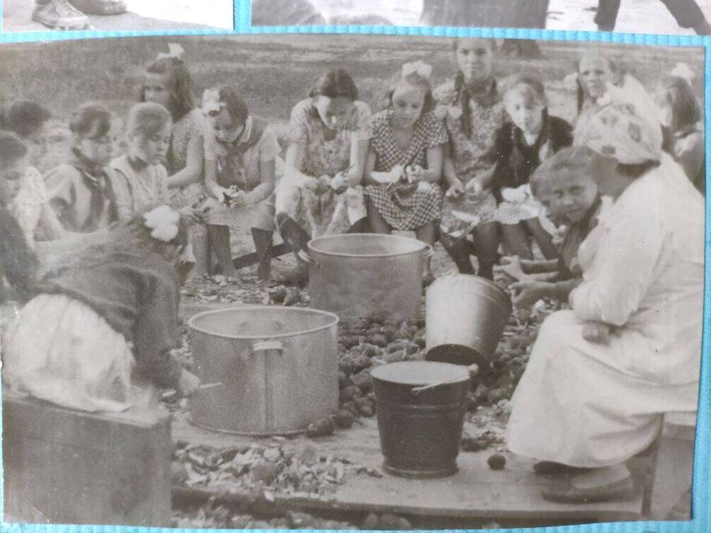 Фото: Чистили картошку из фотоальбома Пионерский лагерь 1964 г.