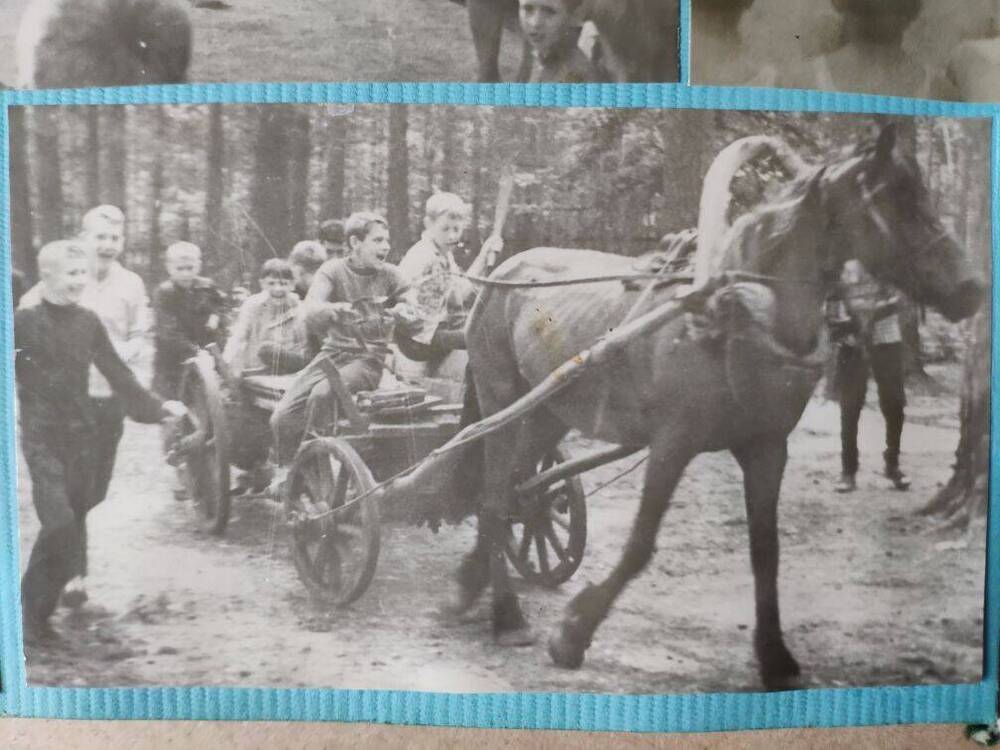 Фото: Катались на лошади из фотоальбома Пионерский лагерь 1964 г.