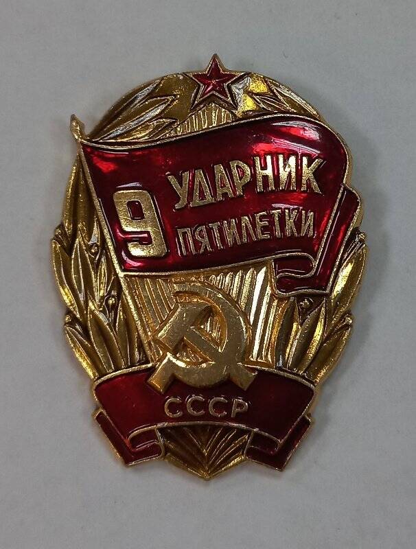 Нагрудный знак Ударник девятой пятилетки Лобанцовой Н. С.