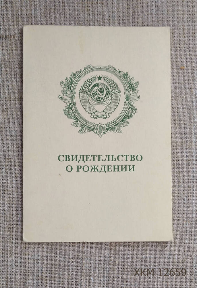 Свидетельство о рождении VI-РУ № 263386 (повторное) Семиной Е.П.