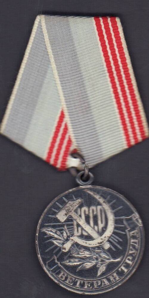 Медаль Ветеран труда Лукиной П.Е.