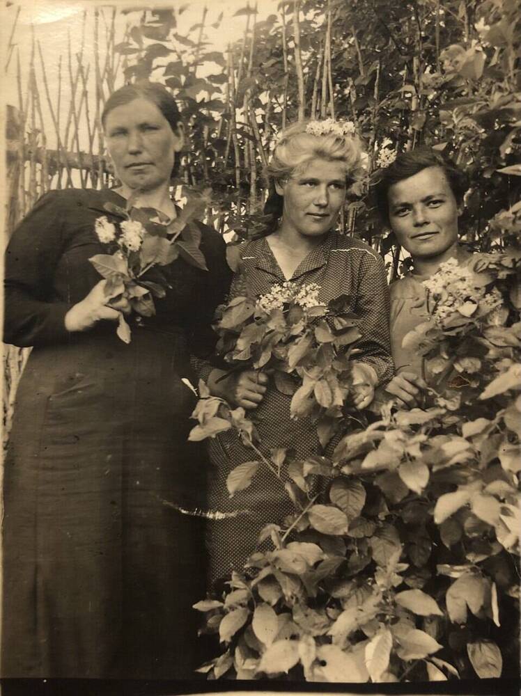 Фотография трех женщин на фоне палисадника.