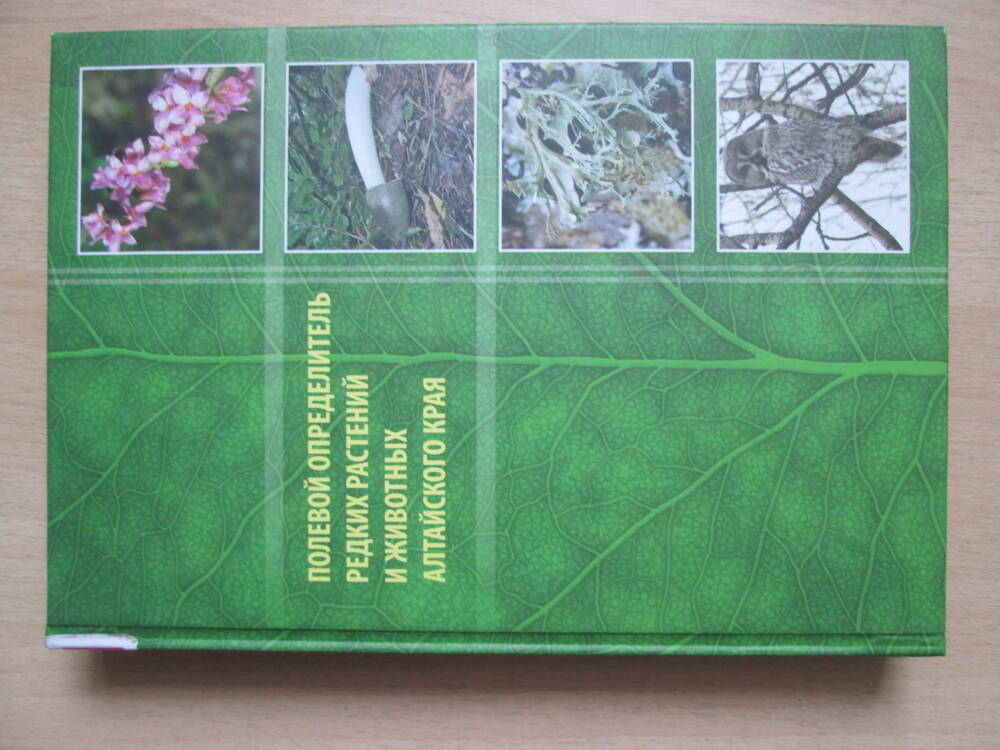 Книга Полевой определитель редких растений и животных Алтайского края