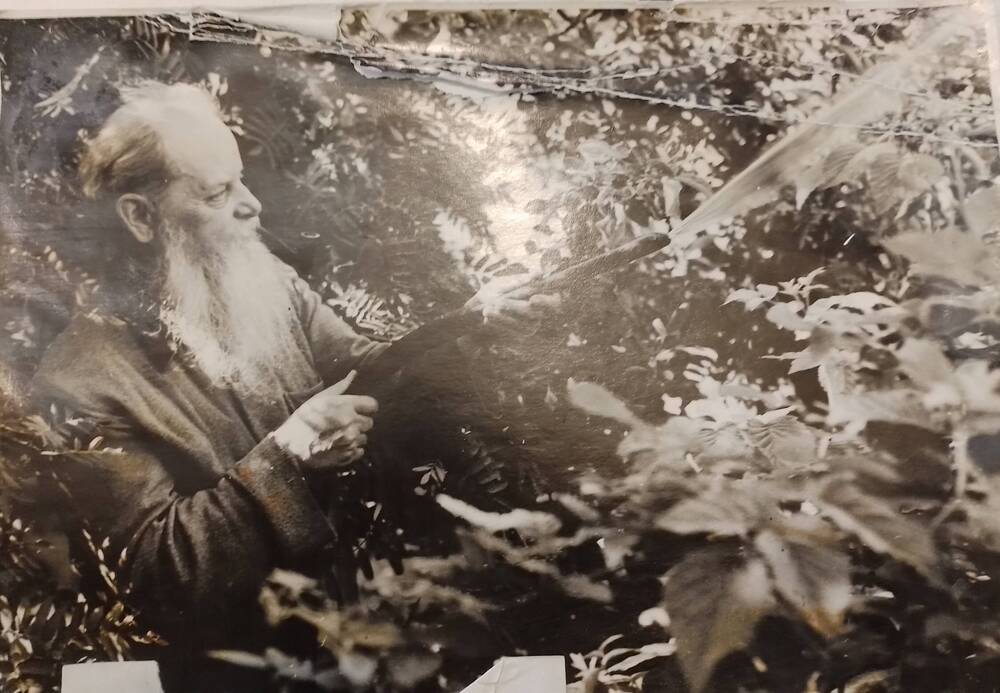 Фотография. Бажов в своём саду поливает  из шланга