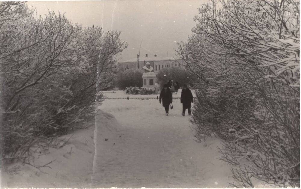 Фотография видовая «Ирбит. Сиреневый сквер зимой»