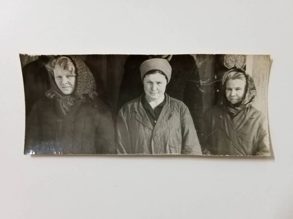 Фотография  Журбенко Марии (в центре) – санитарки ветлечебницы, с работниками отделения №2 совхоза Орджоникидзевский на обработке скота. 1990 год.